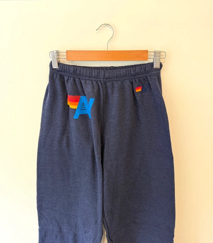 Aviator Nation Logo Sweatpants